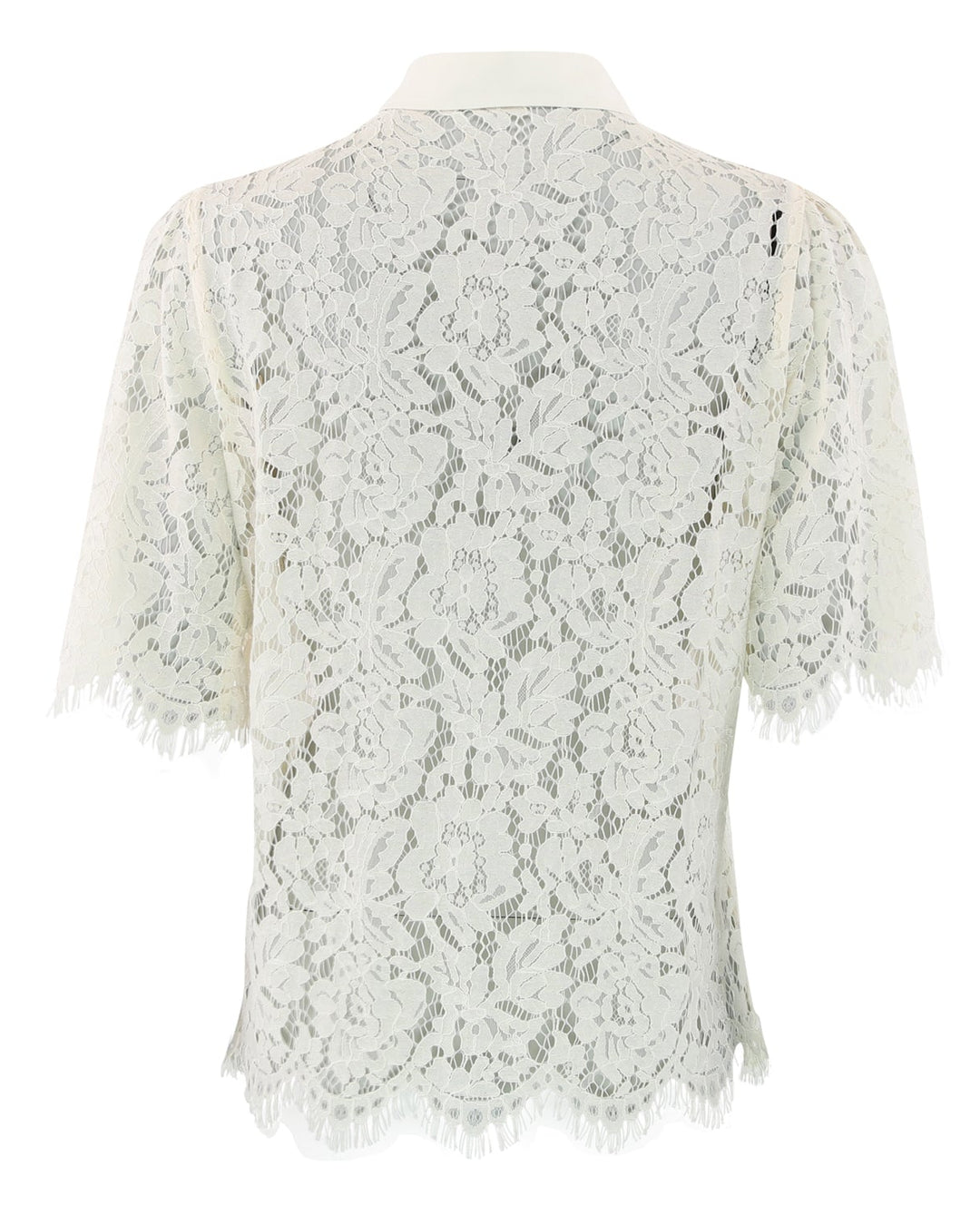 Continue Paloma Lace bluse i off white med gennemsigtig blonde, flipkrave, knapper og korte ærmer.
