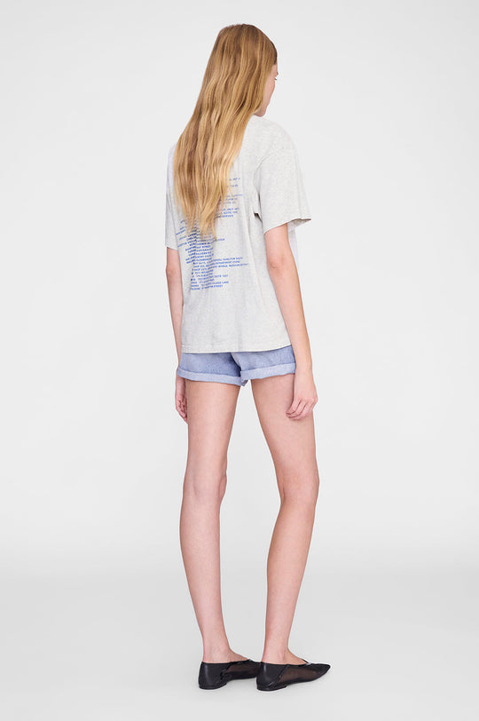 Anine Bing Cade Tee Wave i heather grey med grafisk Wave-print.