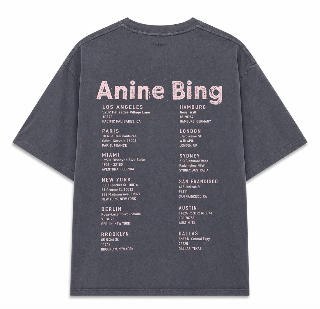 ANINE BING Cade Tee Smiley i grå med smiley-print og grafisk rygprint.