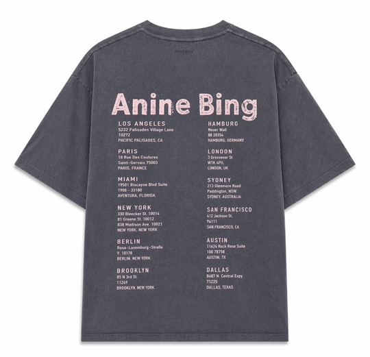 ANINE BING Cade Tee Smiley i grå med smiley-print og grafisk rygprint.