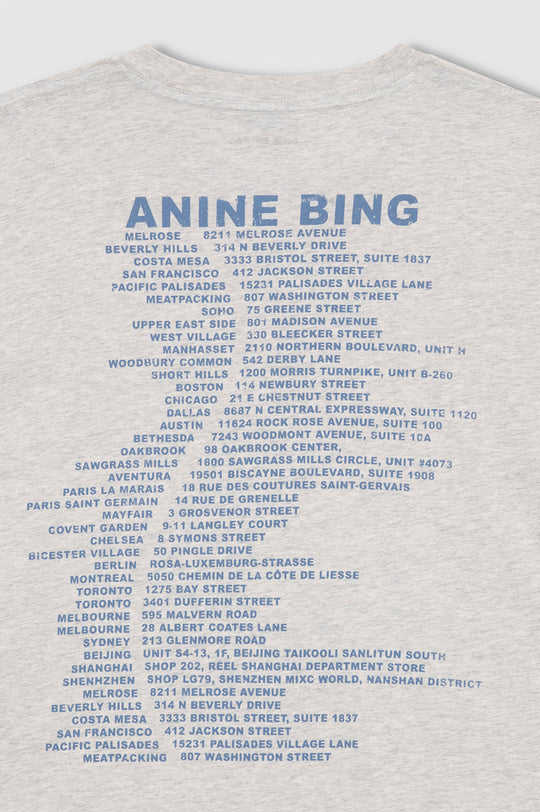 Anine Bing Cade Tee Wave i heather grey med grafisk Wave-print.
