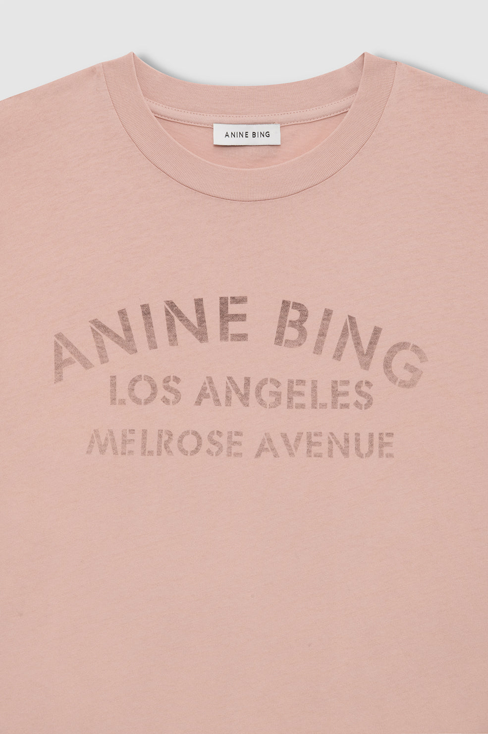 ANINE BING Ivan Long Sleeve i washed blushed med Melrose Stencil-print og afslappet pasform.